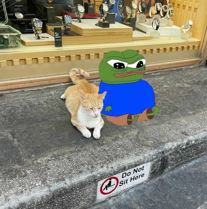 An orange and white cat sits on a step next to a digitally added Pepe the Frog character wearing a blue shirt, with a 'Do Not Sit Here' sign below.