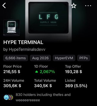 A screenshot of an NFT collection page for 'HYPE TERMINAL' by HypeTerminalsdevv, showing a floor price of 216.55 $ and a 1D floor increase of 2,067%.