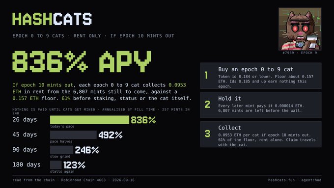 A HASHCATS dashboard showing '836% APY' for 'EPOCH 0 TO 9 CATS - RENT ONLY - IF EPOCH 10 MINTS OUT' with a pixelated cat NFT (#1989, EPOCH 3) and instructions to 'Buy an epoch 0 to 9 cat', 'Hold it', and 'Collect' on Robinhood Chain.