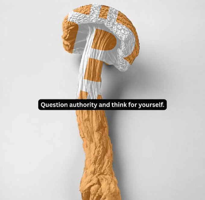 A conceptual image featuring the word 'TRUTH' formed from silver foil-like material on an orange background shaped like a question mark, with the text 'Question authority and think for yourself.' displayed below.