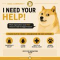 A digital advertisement featuring a Shiba Inu dog meme with the bold headline 'I NEED YOUR HELP!' and smaller text urging support for website content.