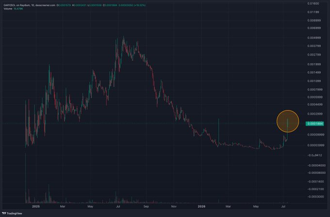 A TradingView candlestick chart of $GARY/SOL on Raydium shows the token's price action from early 2025 through mid-2025, with the highlighted area on the right showing a recent sharp pump on the daily timeframe, aligning with the post claiming "$GARY started pumping!!!" The current price is displayed as approximately 0.0001884 SOL, up 19.32%, supporting the user's excitement about $SOL summer momentum.