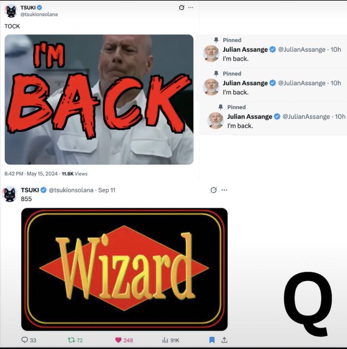 The image shows two posts from @tsukionsolana: one dated May 15, 2024, featuring a meme of Dr. Evil from Austin Powers declaring "I'M BACK" alongside three pinned tweets from Julian Assange saying "I'm back," and another post displaying a "Wizard" playing card image with the number "855," which the accompanying post suggests connects to Roaring Kitty's prediction of Assange's return.