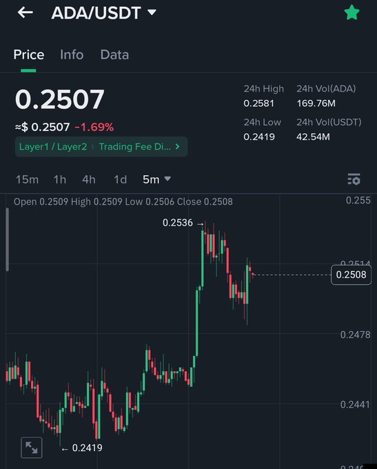 A cryptocurrency trading chart showing ADA/USDT trading at $0.2507, down 1.69%, with a 24-hour high of 0.2581 and low of 0.2419, displaying candlestick price movements over a 5-minute interval. The image appears unrelated to $SNEK, as it displays Cardano (ADA) trading data rather than the SNEK token mentioned in the post.