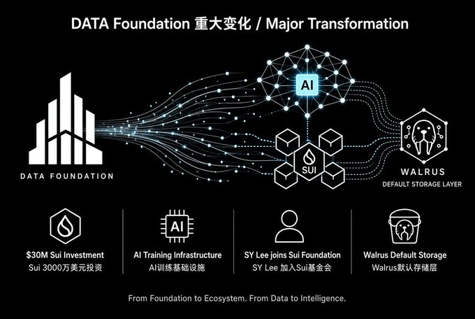 An infographic titled "DATA Foundation 重大变化 / Major Transformation" illustrates DATA Foundation's evolution through four key developments: a $30M investment from Sui, expansion into AI training infrastructure, SY Lee joining the Sui Foundation, and Walrus becoming the default storage layer. The diagram visually connects the DATA Foundation (building icon) to AI, Sui, and Walrus ecosystems, with the tagline "From Foundation to Ecosystem. From Data to Intelligence."