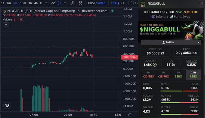 A cryptocurrency trading chart on DEX Screener showing the NIGGABULL/SOL token on PumpSwap, with a current price of $309.050K (0.00003129) at 5-minute interval, displaying red candle price action with significant volume bars and showing a -19.48% decline.