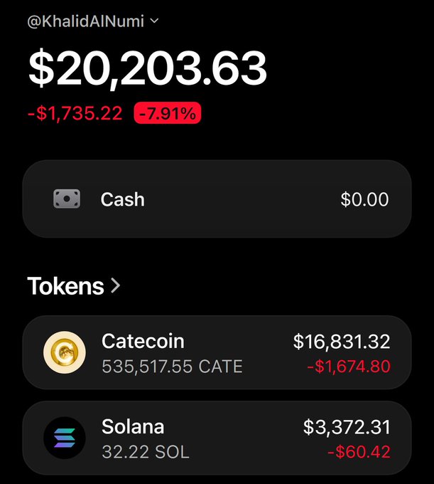 A mobile app screenshot showing a crypto portfolio for @KhalidAlNumi valued at $20,203.63 (down 7.91%), containing Catecoin ($16,831.32) and Solana ($3,372.31).