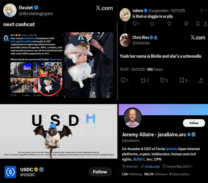 A collage of four X/Twitter screenshots featuring Arc's hackathon highlights with a small white dog, Chris Ries mentioning "Birdie" a schnoodle, USDC's profile showing a dog with bat wings, and Jeremy Allaire (@jerallaire) CEO of Circle, illustrating the post's promotion of Arc mainnet launch opportunities in DEX, meme, and USDC-related categories.