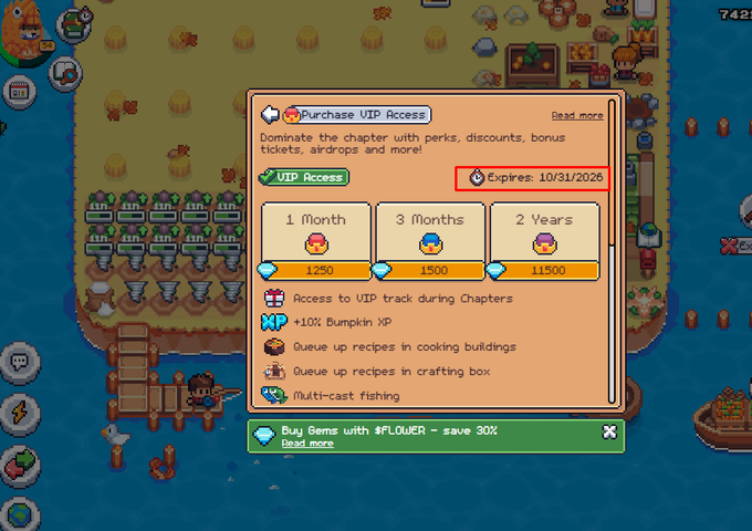 The image shows a video game menu with several options, including purchasing additional months for VIP access. The player has three months left in their vacation and has spent the current 3 months playing the game. They are now considering whether or not to buy more months of playtime, as they have already purchased the 3-month extension to join the VIP access program.