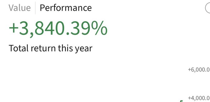 A spreadsheet displays the total return for a stock over the past year, with a green bar graph and text indicating the value of 3,841.39% and 6,000,000.