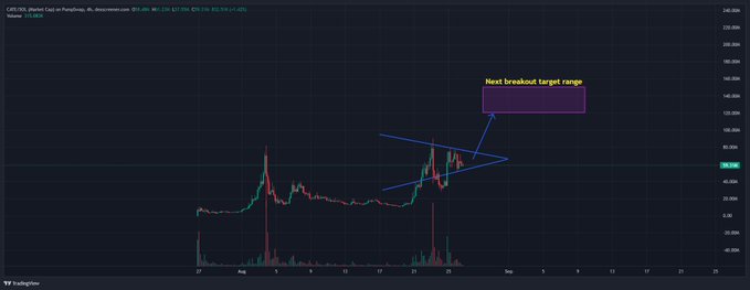 A TradingView chart of CATE/USDT (Market Cap vs. Pepe/Frog) shows a triangle consolidation pattern forming between $40M and $80M, with a purple highlighted box indicating the next breakout target range of 120-150M. The current price sits at approximately $76.66M, with the blue trendlines converging toward an apex in early September before the anticipated upward breakout.