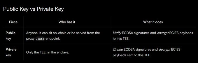 An informational table comparing 'Public Key vs Private Key', explaining that the public key is held by anyone (on-chain or via proxy) and verifies ECDSA signatures/encrypts ECIES payloads, while the private key is held only by the TEE in the enclave to create signatures and decrypt payloads.