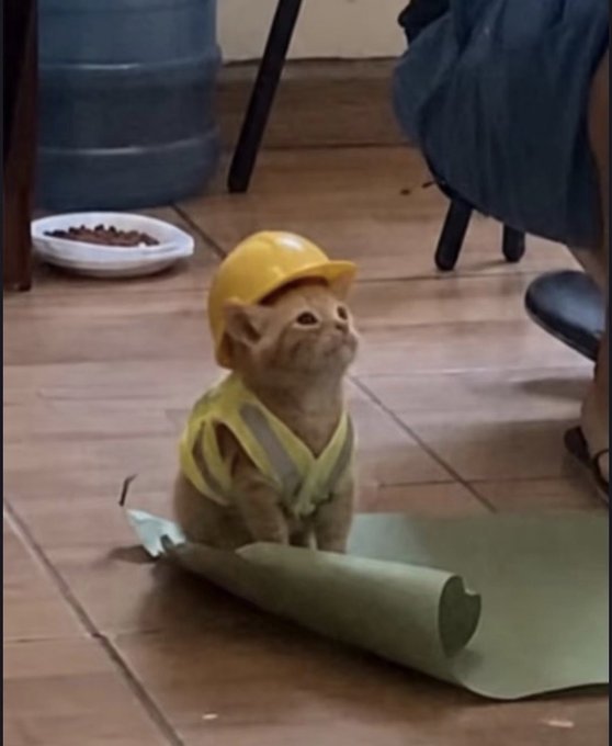 An adorable orange kitten wearing a yellow hard hat and safety vest sits on a tiled floor next to an unrolled green construction paper.