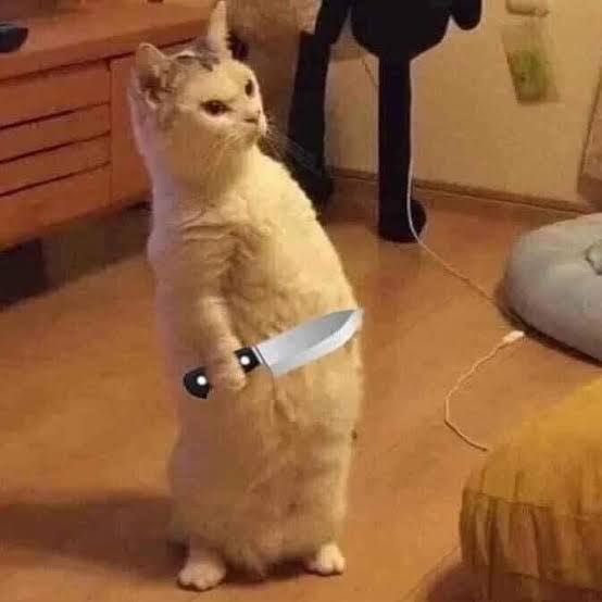 A humorous photo of a white and grey cat standing upright on its hind legs holding a knife in its paw.