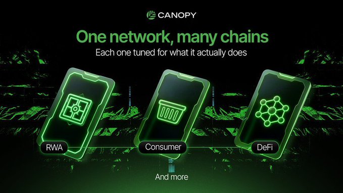 A promotional graphic for Canopy Network featuring the tagline "One network, many chains - Each one tuned for what it actually does," showcasing three stylized smartphone icons representing specialized chains for RWA (Real World Assets), Consumer, and DeFi applications. The image visually reinforces the post's argument that different blockchain use cases require dedicated, purpose-built chains rather than forcing all applications onto a single general-purpose network.