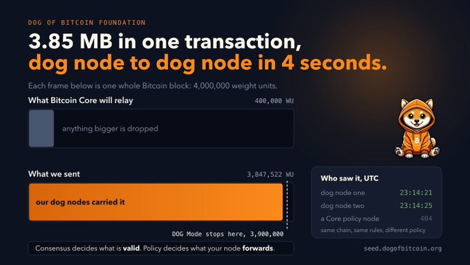 A "Dog of Bitcoin Foundation" infographic demonstrating a 3.85 MB transaction completed in 4 seconds dog node to dog node, compared to what Bitcoin Core will relay (400,000 WU limit).