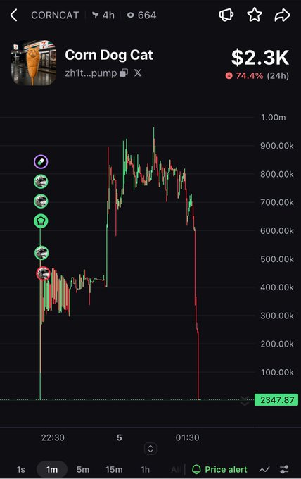 A crypto price chart for CORNCAT (Corn Dog Cat) showing a market cap of $2.3K with a 74.4% increase in the last 24 hours, displaying a sharp pump and dump pattern on a 1m timeframe.