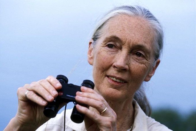 A portrait of Jane Goodall, the renowned primatologist, smiling while holding a pair of binoculars.
