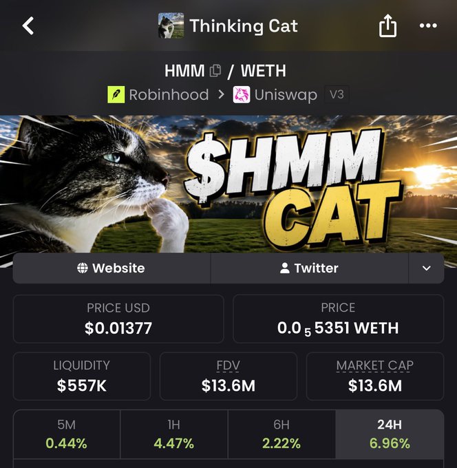 A mobile screenshot of the "Thinking Cat" ($HMM) token on Uniswap V3 via Robinhood, showing a price of $0.01377, market cap of $13.6M, and 24H gain of 6.96% — fueling the bullish "$HMM" pump hype toward $100M.