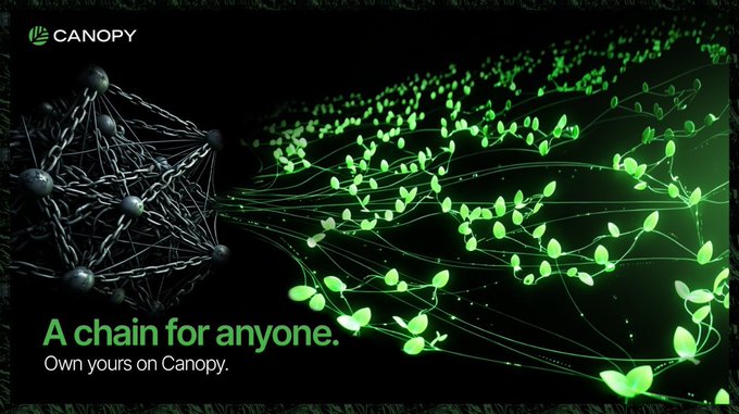 An advertisement for Canopy Network featuring a chain transforming from metallic spheres on the left into glowing green leaves and vines on the right, with the tagline "A chain for anyone. Own yours on Canopy." The image visually reinforces the post's message by symbolizing how Canopy offers a fresh, accessible blockchain solution—transforming complex technical infrastructure into something organic and approachable—rather than forcing migration to another L1.