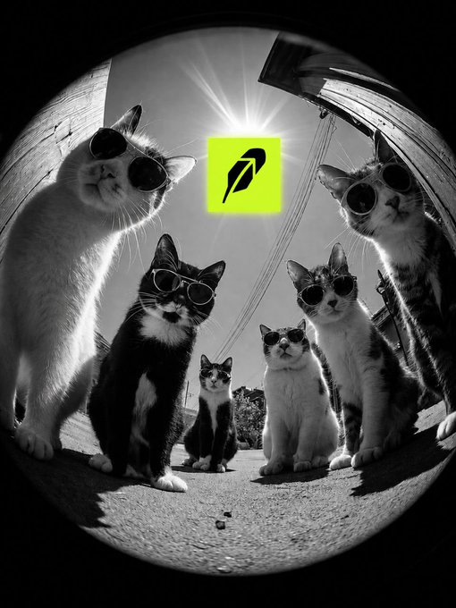 A black-and-white fisheye photo shows six cool cats in sunglasses staring down the camera, with a bright neon green "P" logo glowing in the center sky—fitting the poster's "got Elon's payment" vibe for a weekend win.