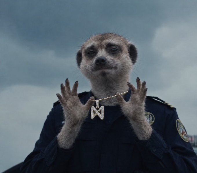 A digitally edited image of a meerkat dressed in a police uniform with gold epaulettes, wearing a diamond-encrusted 'Z' pendant necklace, with its paws raised up.