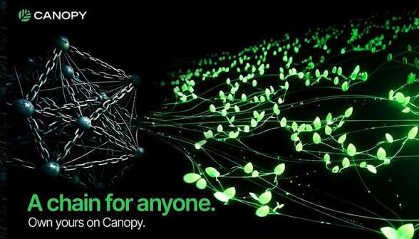 A Canopy promotional image showing a geometric chain structure transforming into green leafy vines with text 'A chain for anyone. Own yours on Canopy.'