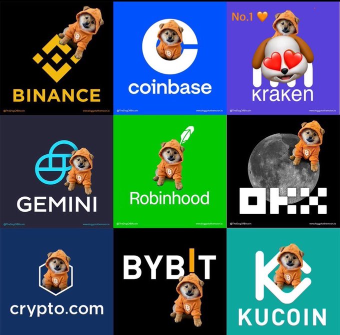 A collage featuring Shiba Inu dogs in orange hoodies positioned alongside the logos of major cryptocurrency exchanges: Binance, Coinbase, Kraken, Gemini, Robinhood, OKX, crypto.com, BYBIT, and KUCOIN.
