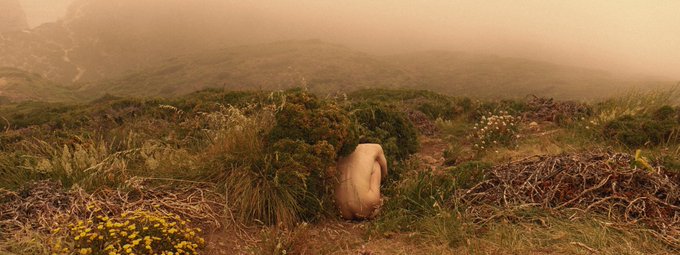 A misty, foggy mountain landscape with a person crouching nude among yellow wildflowers and shrubs on a hillside.