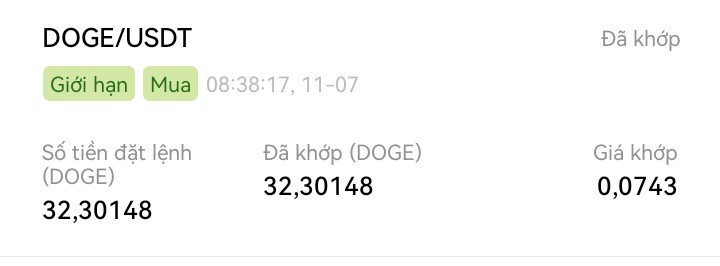 A cryptocurrency trading interface showing a filled limit buy order for DOGE/USDT at 08:38:17 on 11-07, with 32,30148 DOGE matched at a price of 0.0743 USDT.