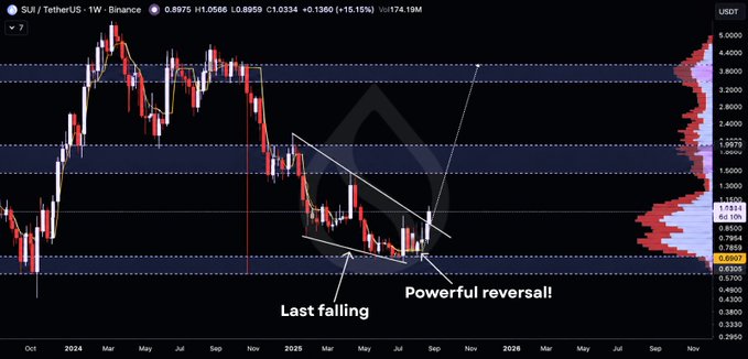 A cryptocurrency chart for SUI/TetherUS on Binance showing price movements from late 2024 to 2026, with annotations reading 'Last falling' and 'Powerful reversal!!'.