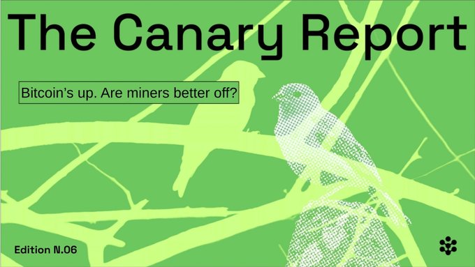 A green graphic titled 'The Canary Report' features silhouettes of canaries on branches with the subtitle 'Bitcoin's up. Are miners better off?' and 'Edition N.06' marked in the corner.