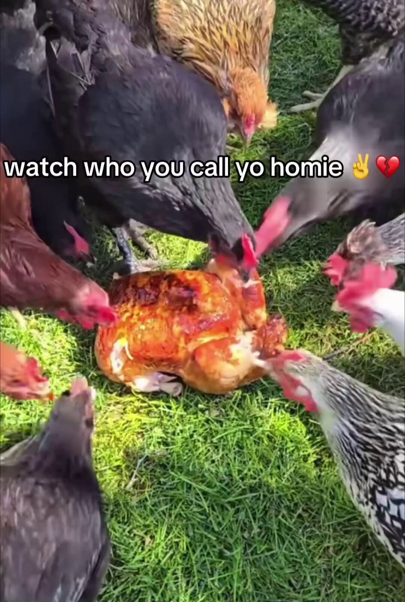 None