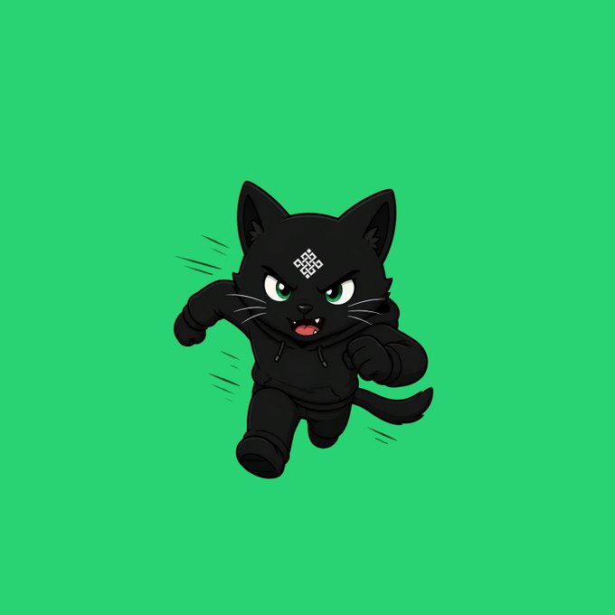 An angry cartoon black cat in a hoodie charges forward on a bright green background, with a small decorative symbol on its forehead.