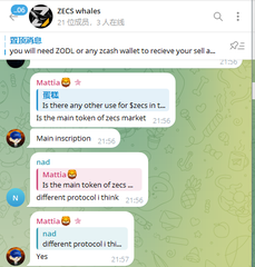 A Chinese-language messaging group titled "ZECS 鸡西鸡" (21 members) displays a pinned message about $ZECS minting at "2ZEC" per token, where users discuss how the main token of $zecs market follows a different protocol protocol than others, including $zecsmart, making it a low-market-cap inscription opportunity similar to a lottery ticket.