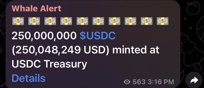 The image shows a phone screen displaying some information about an online wallet app called Wallet Alert. On the top right corner, there is a message indicating that $250,000 has been deposited into the user's USDC account. The text also mentions that the money was minted at the USDC Treasury on March 16th at precisely 5:33 PM in New York City. This indicates that the app is tracking and recording transactions related to USDC payments made using the Wallet Alert platform, offering users an easy way to manage their funds and transactions securely online.