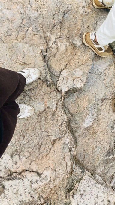 Two pairs of sneakers stand on rugged, sun-bleached granite terrain with deep cracks running through the rock. The image captures a moment from a high-altitude hike, complementing the caption about reaching 11,500 feet elevation while promoting the RunUp challenge.