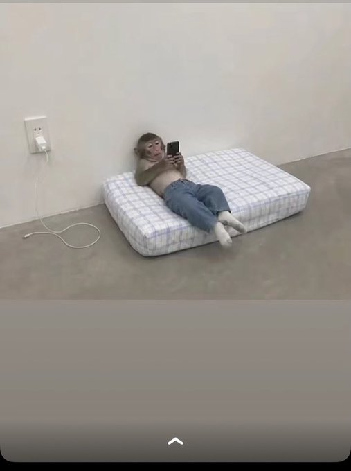 A young monkey wearing a light-colored sweater and blue jeans is lying on its back on a checkered floor mattress, holding and looking at a smartphone as if taking a selfie, with a charging cable plugged into the wall outlet nearby.