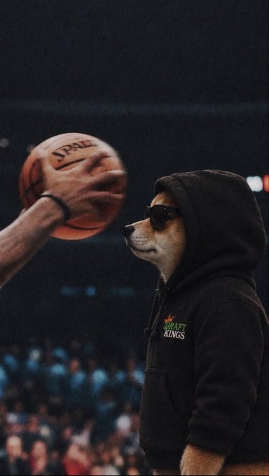 A dog wearing sunglasses and a black "DraftKings" hoodie stares intently at a basketball being held up by a player in a crowded arena. The image plays on the phrase "All in," depicting the dog appearing fully committed—visually suited up and ready—as if going "all in" on the game.