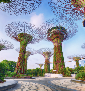 The Supertrees at Singapore's Gardens by the Bay stand tall under a bright sky, serving as a fitting visual backdrop to news of the Monetary Authority of Singapore (MAS) proposing that stablecoin issuers maintain full 100% reserves and refrain from offering yield to holders. The towering vertical gardens symbolize both Singapore's forward-looking financial regulation and its iconic blend of nature and innovation.