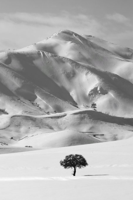 A black and white landscape photograph showing a lone tree standing on a vast snow-covered plain, with rugged snow-capped mountains rising in the background under a partly cloudy sky.