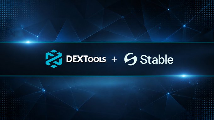 The image features a partnership announcement banner with the text "DEXTools + Stable" centered on a dark blue, network-themed background with glowing geometric lines. It visually represents the integration mentioned in the post, highlighting Stable's new availability on the DEXTools platform for enhanced token discovery and trading tracking.