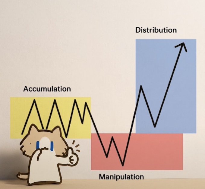 An illustration of a sad cartoon cat pointing at a chart depicting three market phases: 'Accumulation' (yellow zigzag), 'Manipulation' (red downward pattern), and 'Distribution' (blue upward trend), representing the Wyckoff trading cycle.