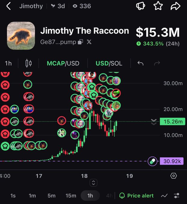 A crypto trading chart displays 'Jimothy The Raccoon' token at a $15.3M market cap, up 343.5% in 24 hours, with price shown in MCAP/USD on the 1-hour timeframe.