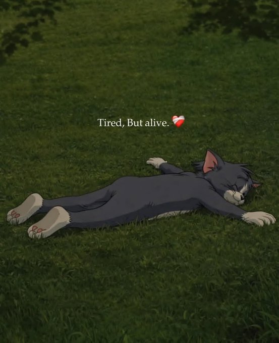 An illustration depicts a black and white cat sleeping on grass with the text 'Tired, But alive.' accompanied by a red heart emoji.