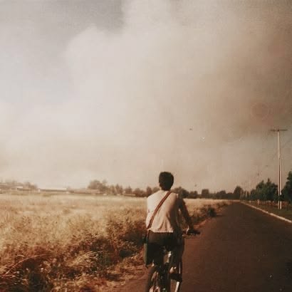 A photograph of a person riding a bicycle down a road with a massive dust storm or haboob approaching in the background.