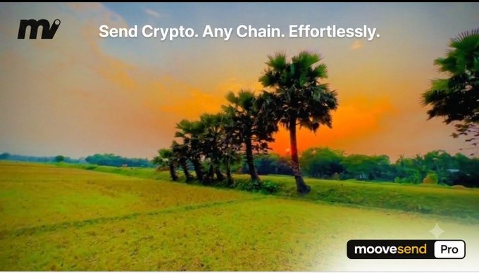 A moovesend Pro advertisement with the tagline 'Send Crypto. Any Chain. Effortlessly.' set against a sunset landscape with palm trees.