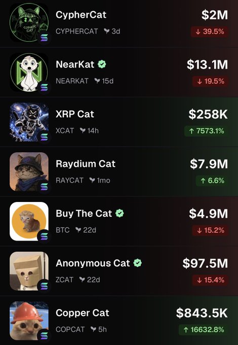 The image displays a list of cat-themed meme tokens on what appears to be the Stonk platform, including CypherCat ($2M, down 39.5%), NearKat ($13.1M, down 19.5%), XRP Cat ($258K, up 7573.1%), Raydium Cat ($7.9M, up 6.6%), Buy The Cat ($4.9M, down 15.2%), Anonymous Cat ($97.5M, down 15.4%), and Copper Cat ($843.5K, up 16632.8%). The image serves as humorous "evidence" for the post's question, suggesting that cats do indeed dominate Stonk's trending tokens, with Anonymous Cat leading at $97.5M in market cap.