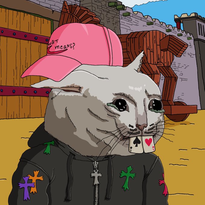 A crying cat wearing a pink cap that reads 'WHAT MEANS?' and a black hoodie with colorful crosses, with a spade and heart card in its mouth, set against a castle backdrop.