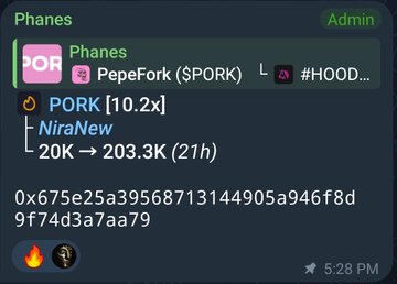 A messaging app screenshot showing a post about 'PepeFork ($PORK)' with a 10.2x multiplier, NiraNew label, and a transaction hash, sent at 5:28 PM.